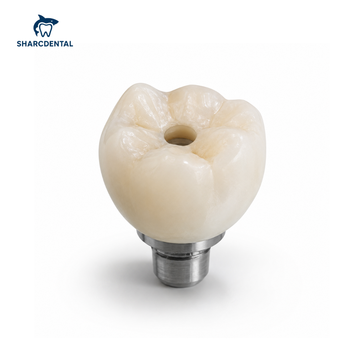 Hybrid Zirconia Full Contour Screw Retained Hybrid Zirconia Full Contour Screw Retained