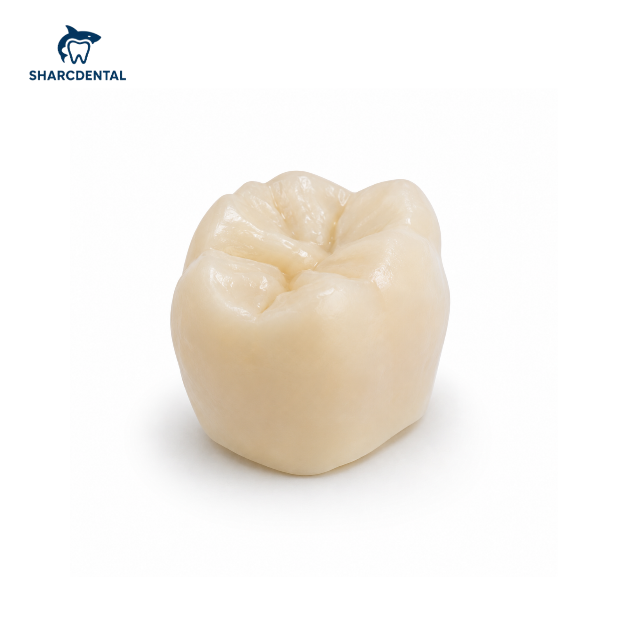 Temporary PMMA Full Contour Temporary PMMA Full Contour (Before-prep)