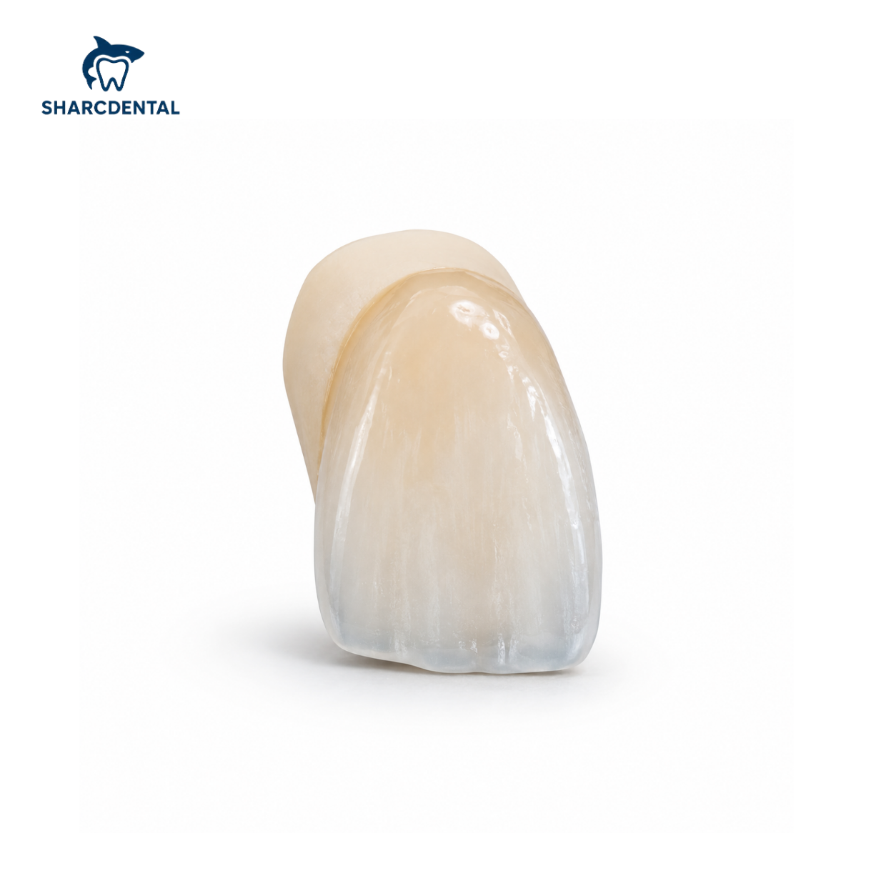 Zirconia Lingual (Cut-back)